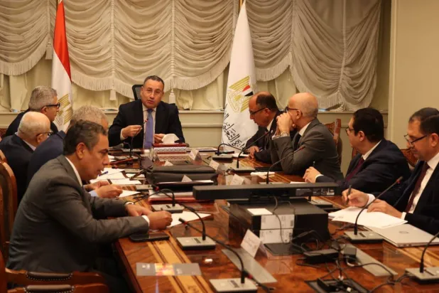 المجلس الأعلى للجامعات في مصر يشكل لجنة لتنقيح التخصصات الجامعية (وزارة التعليم العالي)