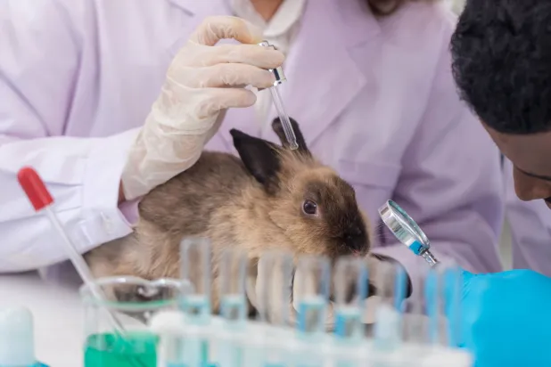 العلم يودِّع حيوانات المختبر (شاترستوك)