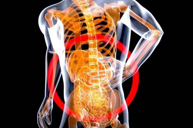 التغيرات التي تطرأ على الأمعاء مع التقدم في العمر يمكن أن تسهم في تدهور القدرات الإدراكية (بيكسباي)