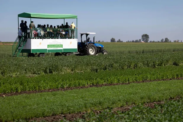 الإمدادات الغذائية العالمية قد تتضرر بشدة إذا ما امتدّت حرب إيران (أ.ف.ب)