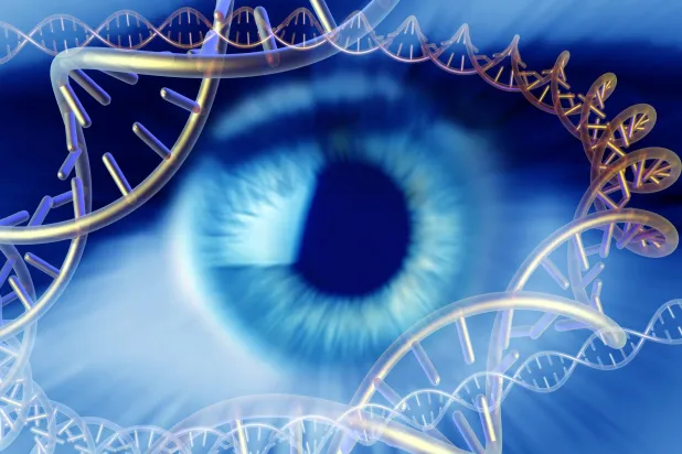 تجديد الخلايا لعلاج أمراض العين