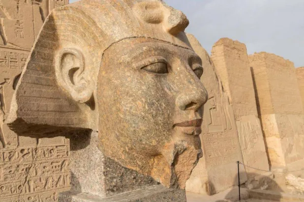 رأس تمثال رمسيس الثاني بعد الترميم (وزارة السياحة والآثار)