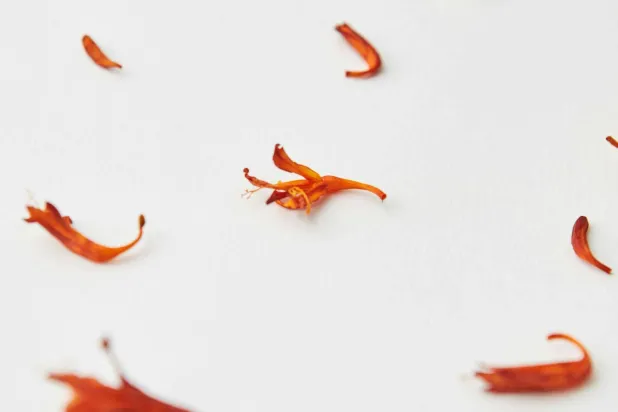 مشروب ذهبي يقترب من مضادات الاكتئاب… فوائد مذهلة لشاي الزعفران