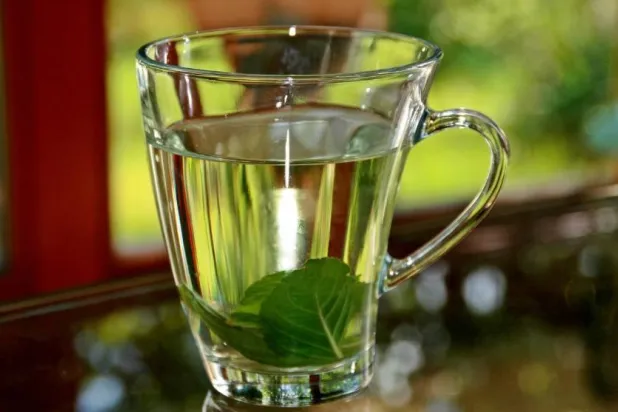 من أبرز فوائد شاي النعناع أنه يدعم عملية الهضم (بكسباي)