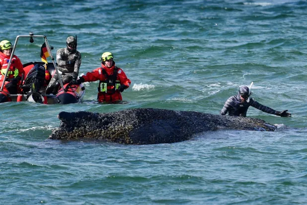 البحر ينتظر عودته (أ.ف.ب)