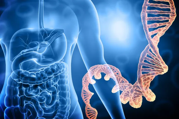 كيف ألهمت طفرة جينية نادرة علاجاً جديداً لالتهاب الأمعاء؟