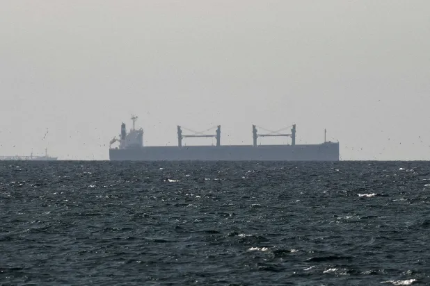 FILE PHOTO: A cargo ship in the Gulf, near the Strait of Hormuz, as seen from northern Ras al-Khaimah in United Arab Emirates, March 11, 2026. REUTERS/Stringer/File Photo