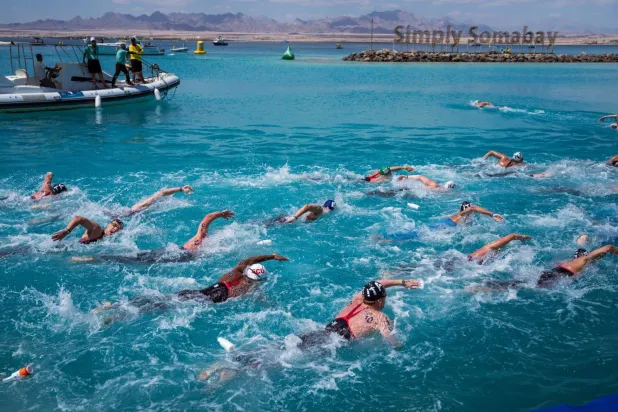 بطولة العالم للسباحة في المياه المفتوحة (وزارة السياحة والآثار)