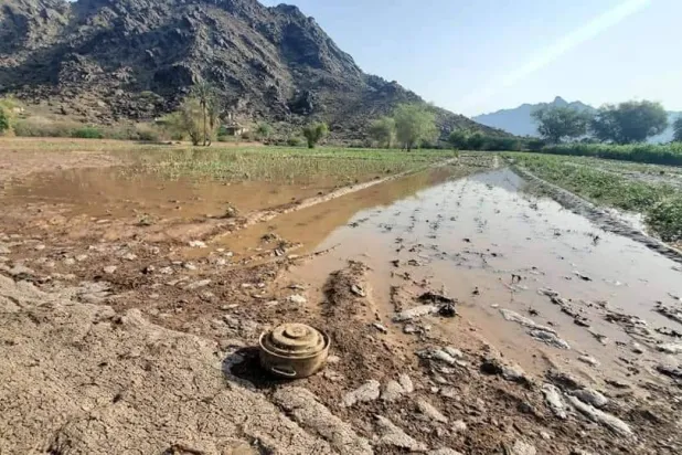 السيول جرفت الألغام التي زرعها الحوثيون في الطرقات والمزارع (إعلام محلي)