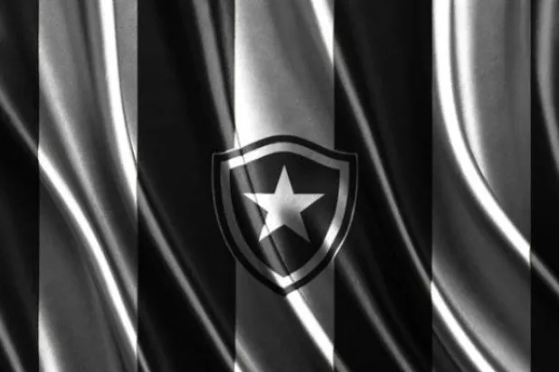 بوتافوغو البرازيلي يقاضي ليون الفرنسي (نادي بوتافوغو)