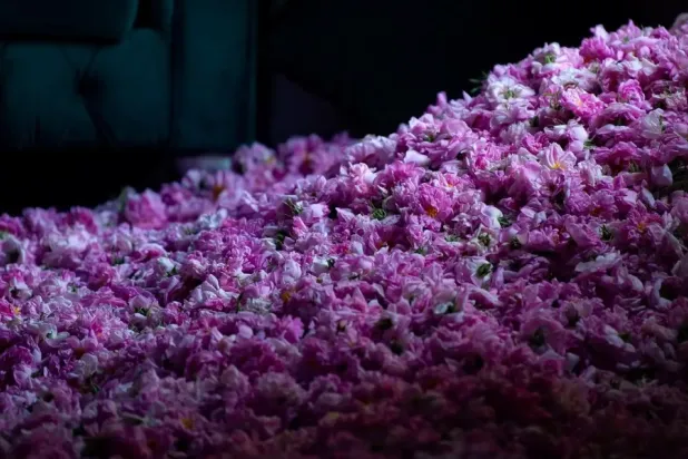 Rose farms are spread across the highlands of Al-Hada and Al-Shafa - SPA