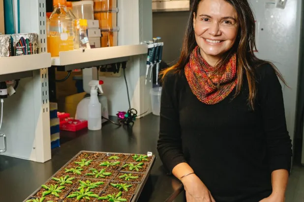 ابتكار علمي يعزز إنتاج المحاصيل الزراعية من دون مبيدات