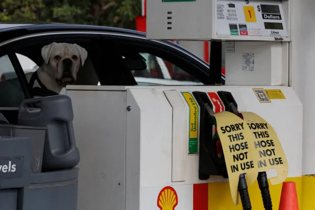 FILE PHOTO: A dog looks out of a car window next to signs on empty fuel dispensers at a Shell petrol station that ran out of fuel, in Sydney, Australia, March 30, 2026. REUTERS/Hollie Adams/File Photo