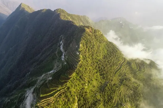 Several of the Kingdom's reserves have earned certification on the International Union for Conservation of Nature (IUCN) Green list - SPA