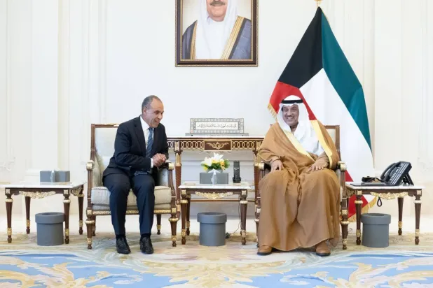 وزير الخارجية المصري خلال لقائه مع ولي عهد الكويت الأربعاء (الخارجية المصرية)