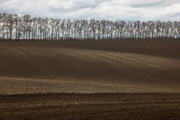 حقل مُجهّز لزراعة الحنطة السوداء في قرية مالوبولوفيتسكي في كييف (رويترز)