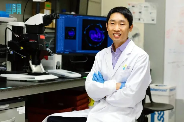 Researchers at King Abdullah University of Science and Technology (KAUST) developed a new method to improve the formation and control of stem cell-derived embryo models. (SPA) 