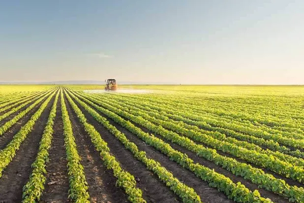 إحدى المزارع في السعودية (المعرض الزراعي السعودي)