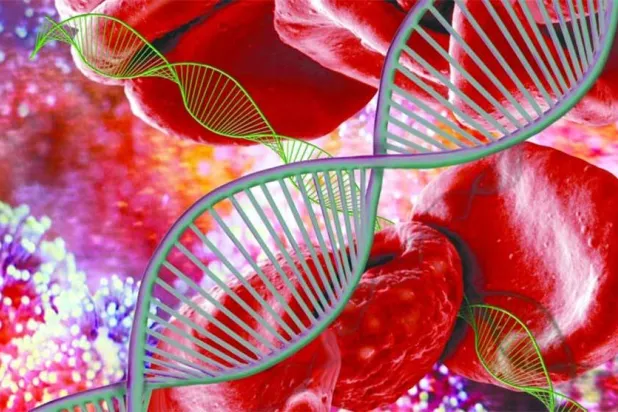 «الهيموفيليا»... من التشخيص المتأخر إلى آفاق العلاج الجيني