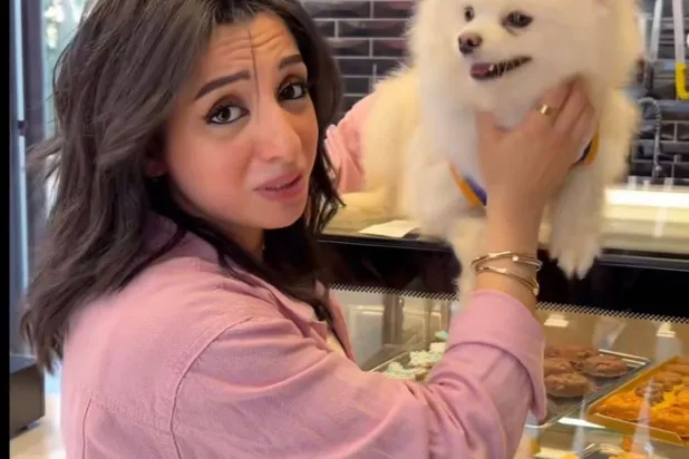 تورتة مبتكرة للاحتفال بعيد ميلاد الحيوانات الأليفة (إنستغرام)