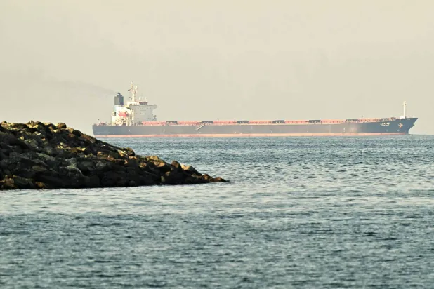 سفينة شحن تبحر قرب مضيق هرمز (أ.ف.ب)