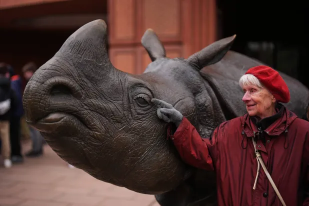Monika Jansen, 85, touches a sculpture of a rhino as she takes part in a guided tour for people with dementia organized by Malteser Deutschland, part of the international Catholic aid organization Malteser Order of Malta, at the Zoo in Berlin, Germany, Thursday, March 26, 2026. (AP Photo/Markus Schreiber)