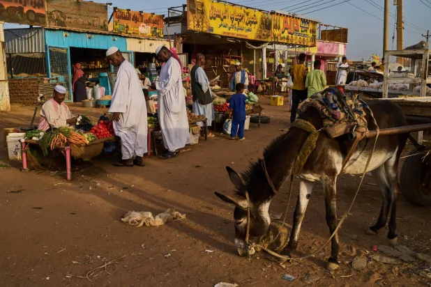 Customers buy vegetables at a local market in Sururab, near Khartoum, Sudan, Wednesday, April 22, 2026. (AP Photo/Bernat Armangue)