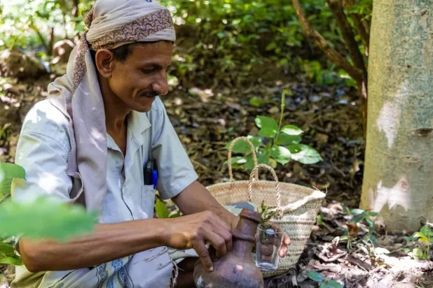 A Yemeni man in Taiz prepares coffee from the beans harvested on his farm. (United Nations)