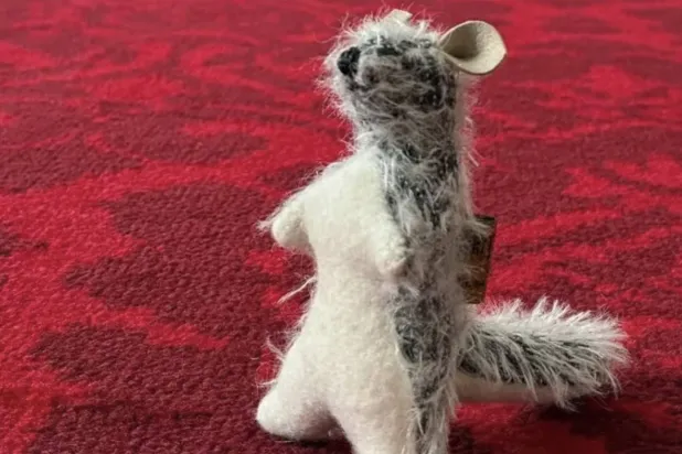 «رو» على سجادة قصر باكنغهام قبل التوجّه إلى الولايات المتحدة (قصر باكنغهام)