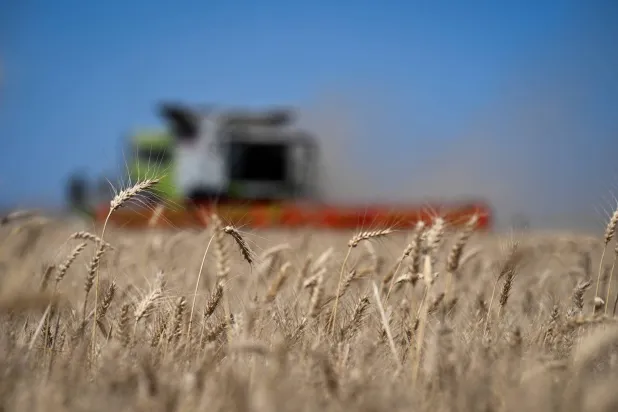 مزارع يحصد القمح في بينيتو خواريز بالأرجنتين (رويترز)