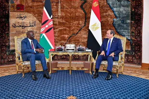 الرئيس المصري يستقبل نظيره الكيني في قصر الاتحادية يناير 2025 (الرئاسة المصرية)