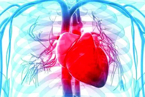 الالتهاب... خطر كامن يرتبط بأمراض القلب