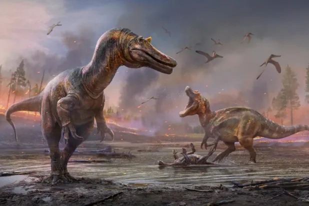 Milyonlarca yıl gezegene hüküm süren dinozorlar yaklaşaık 66 milyon yıl önce yeryüzünden silindi (Reuters)