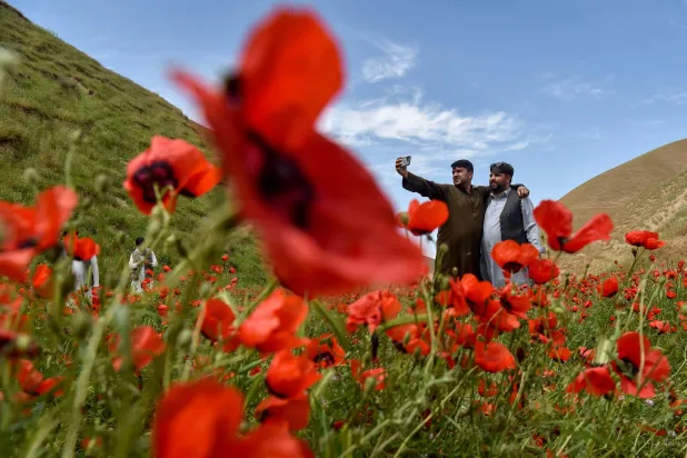 This photograph taken on April 24, 2026 shows Afghan men taking a selfie as they stand among the common poppy flowers on a hillside in the Jalayer Valley of Northern Afghanistan’s Shirin Tagab district. (AFP) 