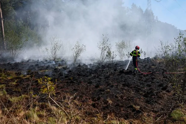 A French firefighter douses burning vegetation during a bushfire in Budel, Netherlands May 1, 2026. (Reuters) 