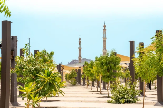Green spaces tripled by planting of 40,000 trees to reduce heat stress (Kidana)