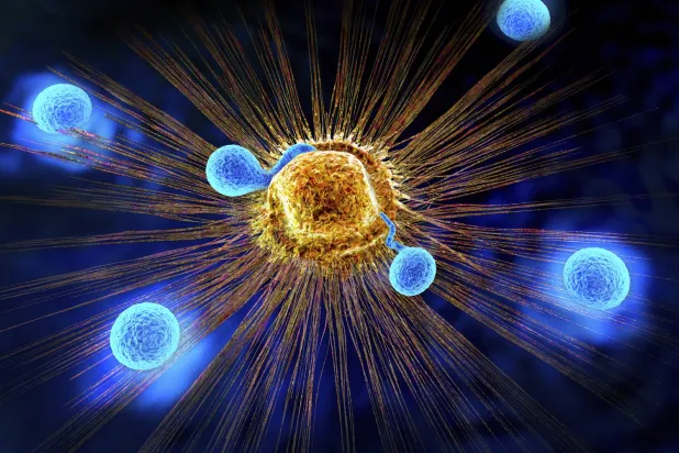شكل تصويري لخلايا الدم البيضاء تهاجم ورما سرطانيا