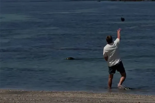 Igor Mykhaylovych Lytvynchuk was charged with harassing and attempting to harass a protected animal after being seen throwing a rock at a Hawaiian monk seal. Photo: US Attorney's Office District of Hawaii