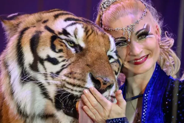 Local media say the tiger belongs to controversial trainer Carmen Zander, also known as Germany's "Tiger Queen" - AFP
