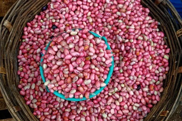 نقع الفاصوليا قبل الطهي يساعد على تقليل بعض المركبات الطبيعية غير القابلة للهضم (بيكسلز)