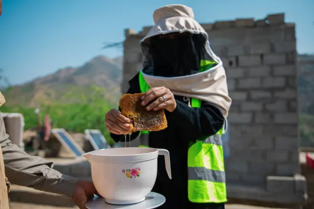 يمنية في محافظة حجة تجني العسل بعد أن تلقت تدريباً ودعماً لتربية النحل (الأمم المتحدة)