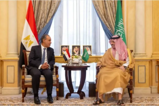 لقاء سابق بين وزير الخارجية السعودي ونظيره المصري في الرياض (واس)