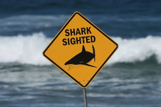 A sign is seen at the site of a fatal shark attack at Dee Why Beach in Sydney, Australia, Saturday, Sept. 6, 2025. (AP)