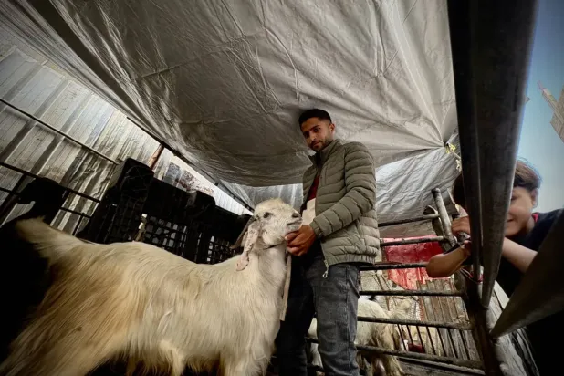 Gazze’de bayram: Hacı adayları Gazze Şeridi’nden çıkamıyor... Kurbanlık hayvanlar ise nadir