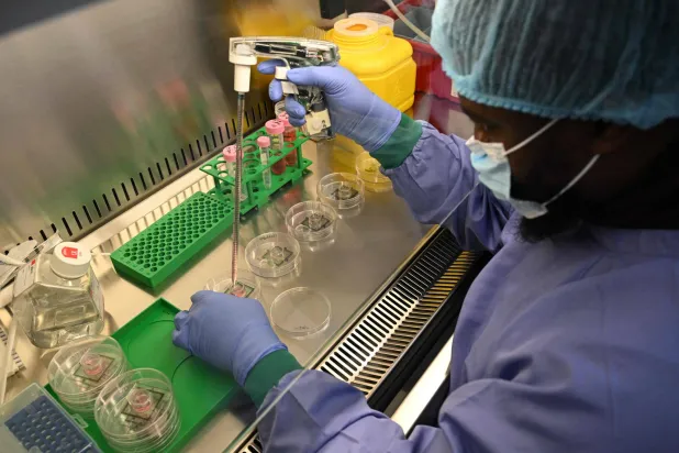 In this photo taken on May 5, 2026, senior scientific specialist Kwaku Dad Abu Bonsrah pipettes nutrients onto neurons on Micro Electrode Array (MEA) chips at Cortical Labs' Physical Containment Level 2 (PC2) laboratory in Melbourne. (Photo by William WEST / AFP)