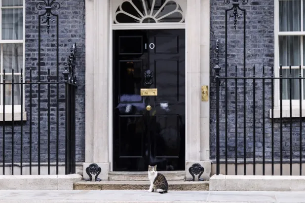 Larry, the Downing Street cat, sits outside the British Prime Minister's official residence at 10 Downing Street in London, Britain, 11 May 2026. (EPA) 