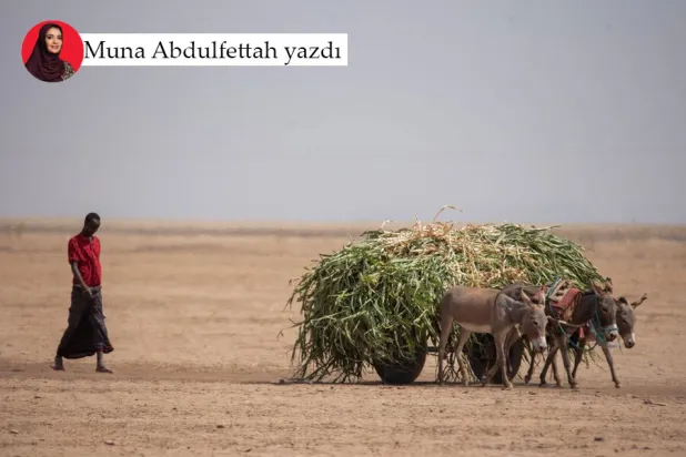 Batı'nın Afrika Boynuzu'na olan ilgisi, istikrarsız bölgeleri yönetmek için yeni bir model oluşturma girişimi olarak görülebilir (Reuters)