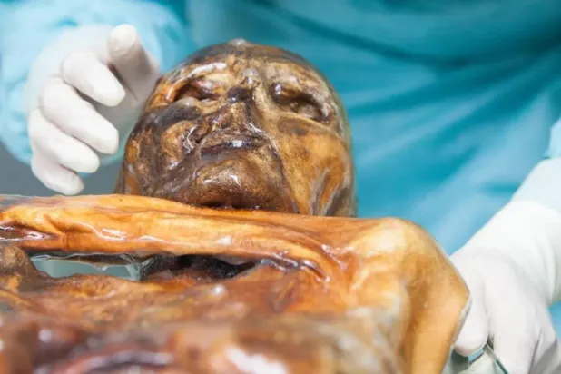Ötzi, bugüne kadar keşfedilen en eski ve en iyi korunmuş insan mumyalarından biri (Güney Tirol Arkeoloji Müzesi)