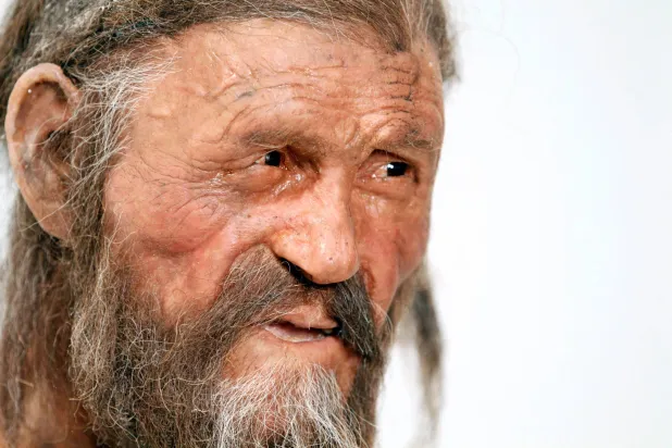 (FILES) A statue representing an iceman named Oetzi. (Photo by Andrea Solero / AFP)