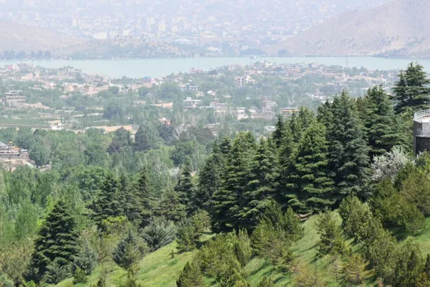 A forest near Qargha lake in Paghman district, Kabul province. Wakil KOHSAR / AFP
